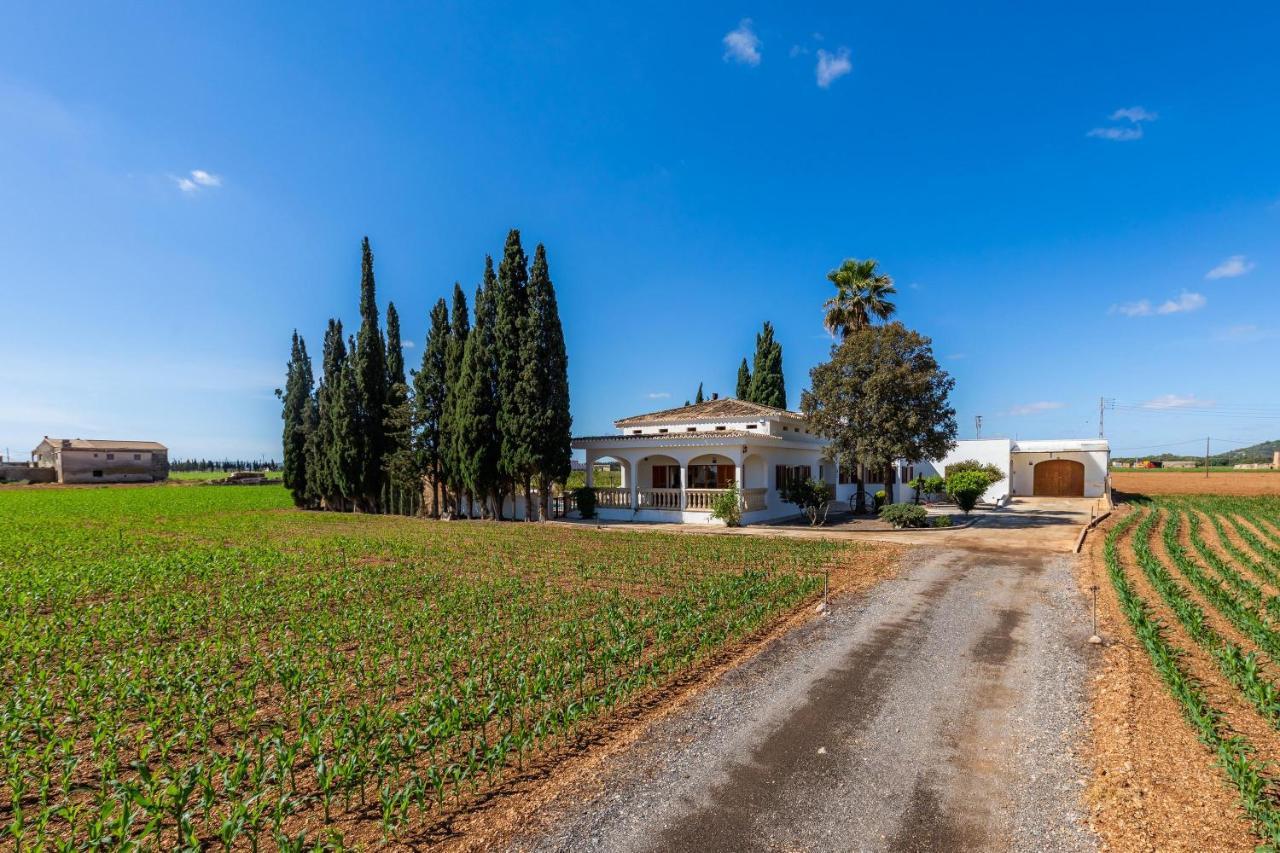 Son Valenti Holiday home *